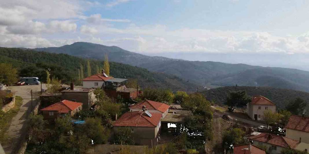 Bir yanında deniz bir yanında orman! Dünyanın gizli kalmış cenneti: Emeklilik hayali kuranların aradığı adres 4